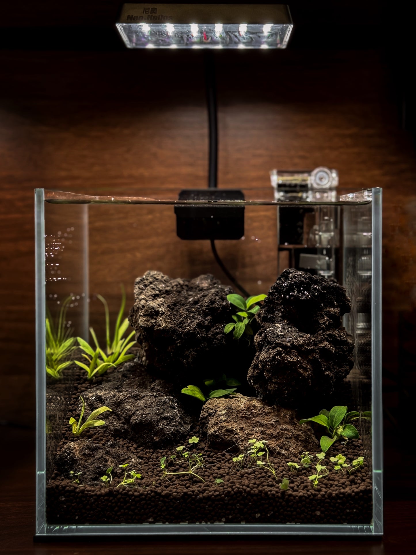 Shrimp nano tank workshop